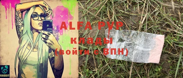 не бодяженный Горно-Алтайск