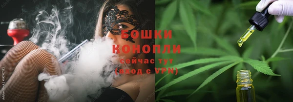 не бодяженный Горно-Алтайск