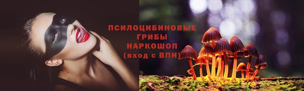 не бодяженный Горно-Алтайск