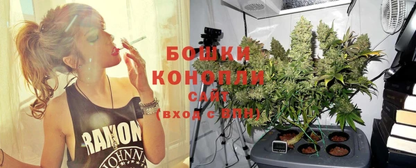 не бодяженный Горно-Алтайск