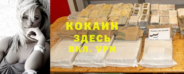 не бодяженный Горно-Алтайск