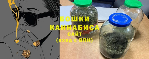 не бодяженный Горно-Алтайск